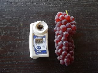 �f���E�F�A